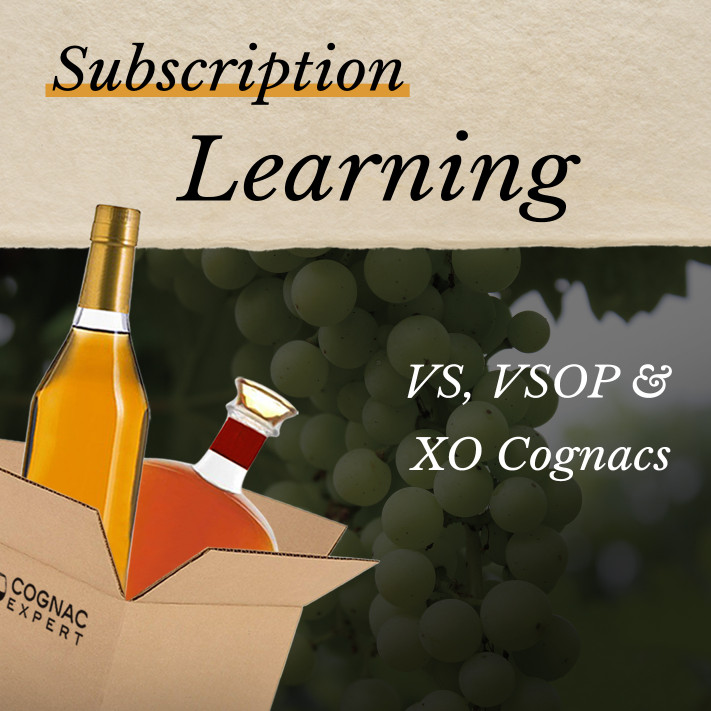Subscription Learning $199 Cognac 01