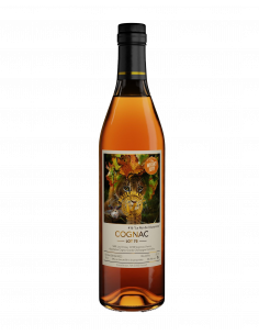 Piccolo Imbuto Per Il Riempimento Del Cognac in Una Boccetta Del Metallo Su  Un Fondo Bianco Imbuto Del Ferro Dell'alimento Immagine Stock - Immagine di  bocca, sfondo: 138131933