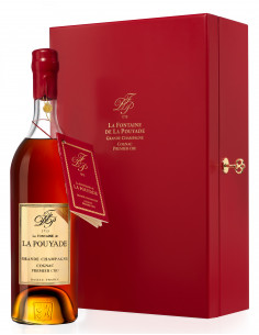 Rémy Martin  Louis XIII Cognac – Cognac Select