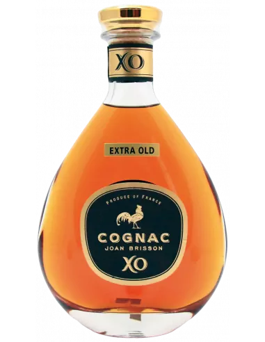 Joan Brisson XO Decanter Extra Old Cognac 01