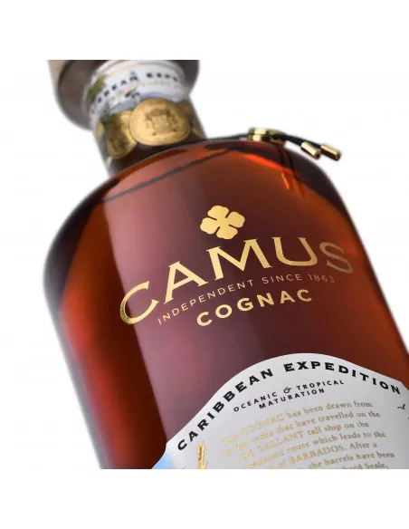 Camus Caribbean Expedition konjaks 015