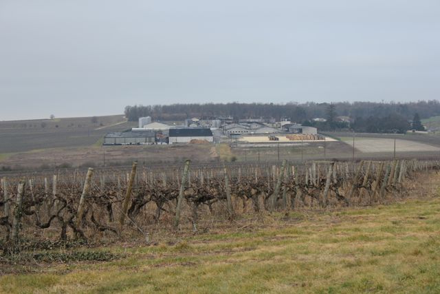 Domaine Boinaud cognac farm