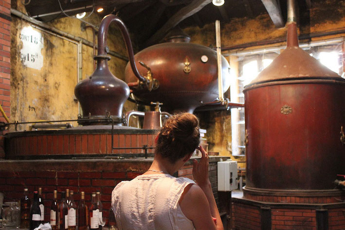 Copper alembics distilling Cognac