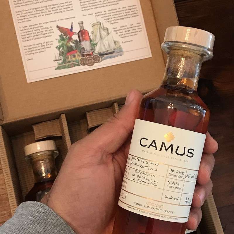 Bottle of camus Cognac held in the hand