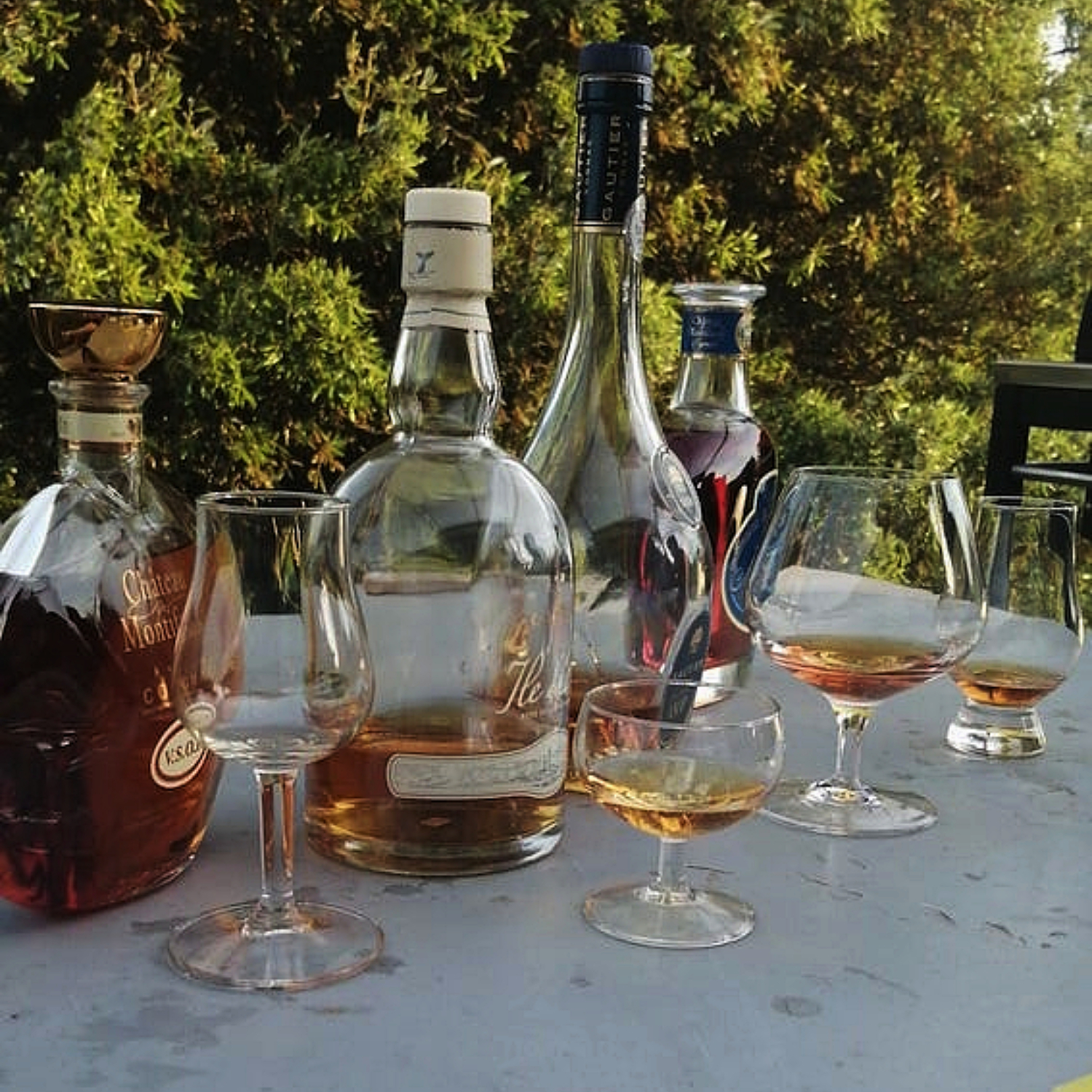 Cognac degustation with several different ones