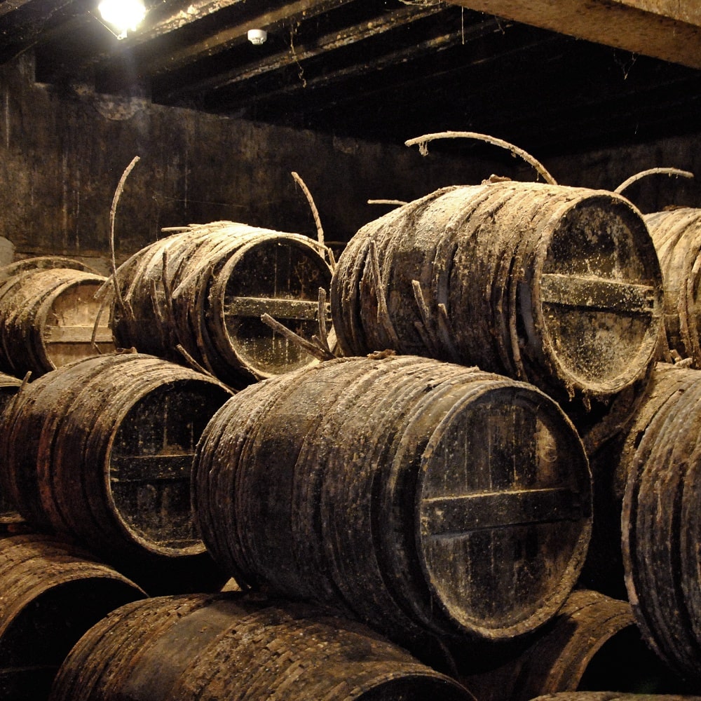 old humid cellar with barrels