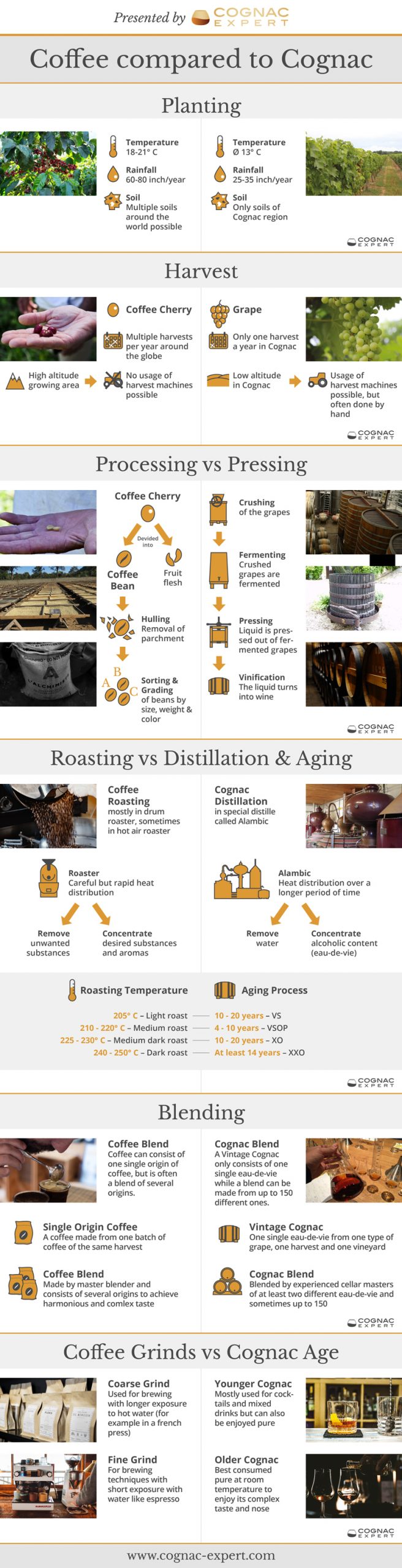 Cognac and Coffee comparison infograph