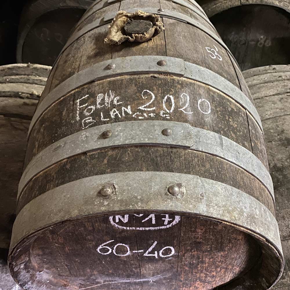 Age Statement of Cognac for Folle Blanche 2020