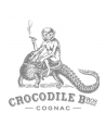 Crocodile Brothers